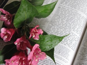 Scripture intake