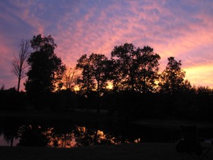 Sunset over pond