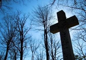 cross and trees
